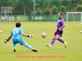 PG电子在线试玩入口-世俱杯比赛战略调整建议，教练如何应对场上突发状况